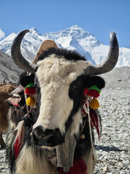 Embrace the Spirit of Tibetan Culture with Our Unique Jewelry Collection