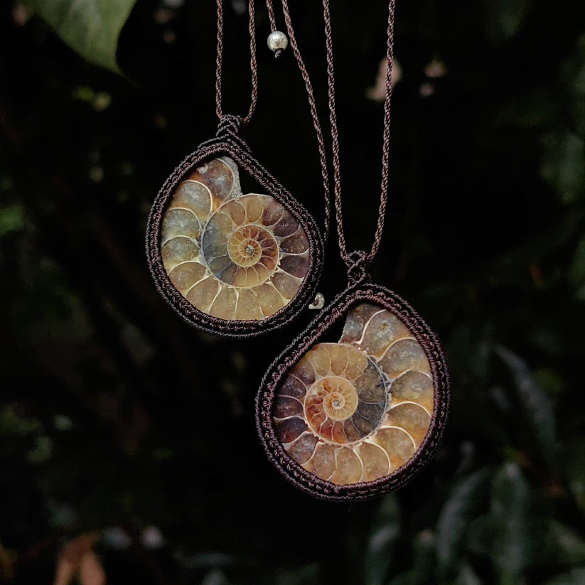 Couple-Two ammonite necklaces | Gradient color