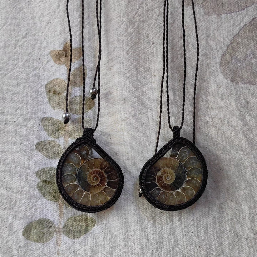 Couple-Two ammonite necklaces | Gradient color