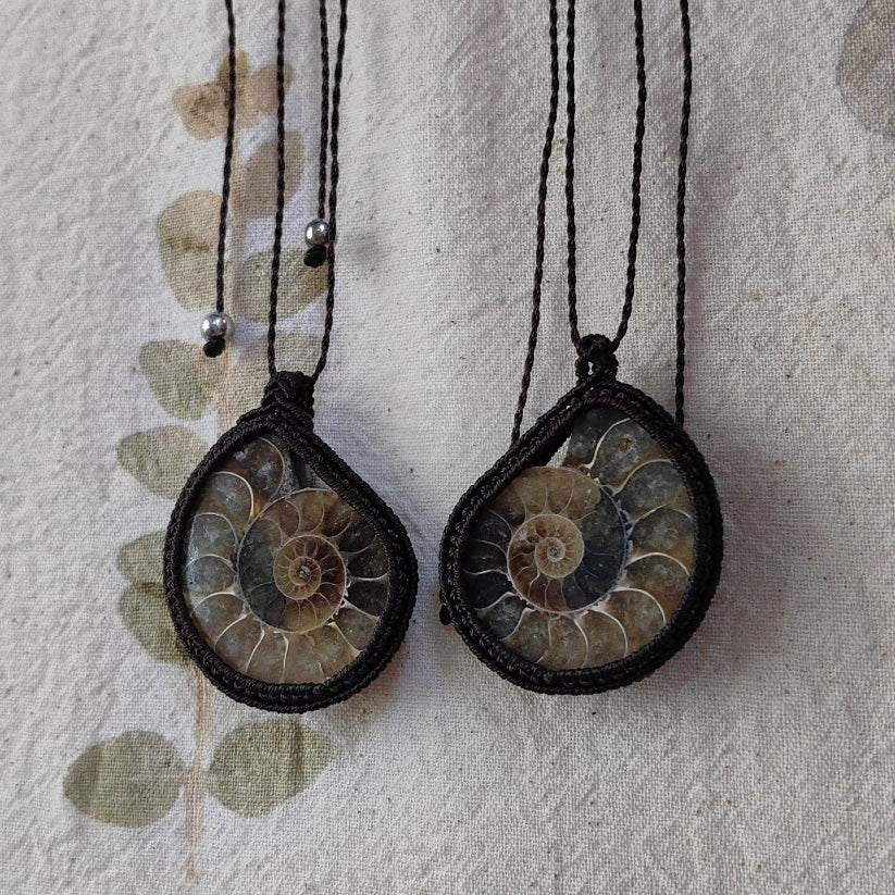 Couple-Two ammonite necklaces | Gradient color