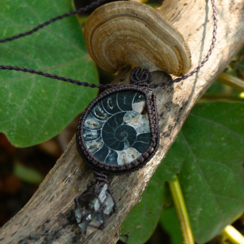 Macrame Ammonite｜Shining Pendant Handmade Braided Rope